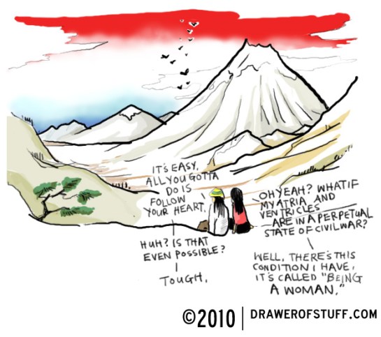 decisions, decisions.