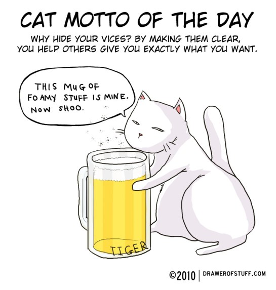 cat motto of the day
