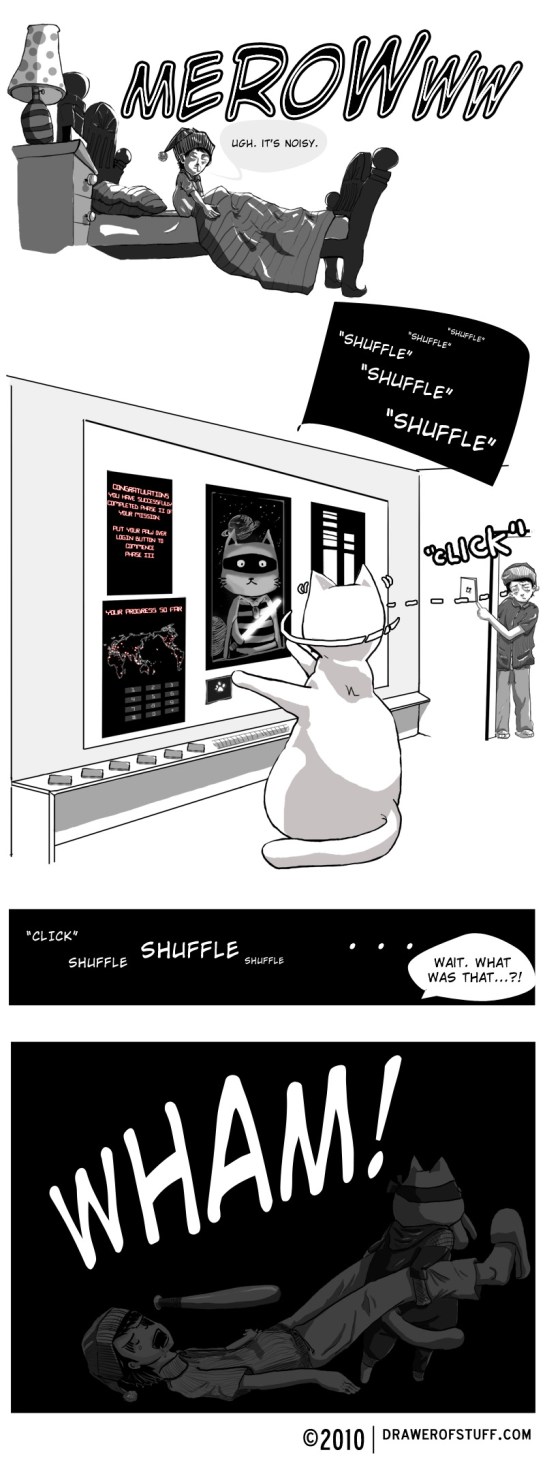 beware the ninja kitty