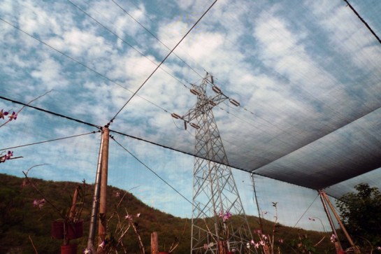 lines that demarcate a space