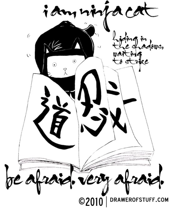 the ninja cat strikes. 