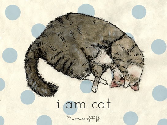 i am cat